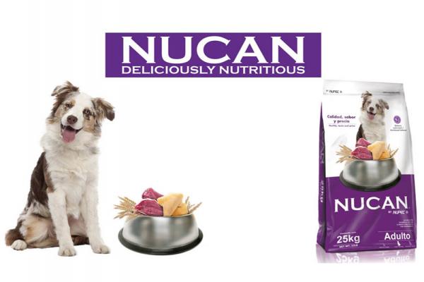 Nucan Adulto 